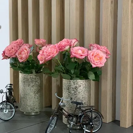 Bright & Modern 3 With Amenities דירה